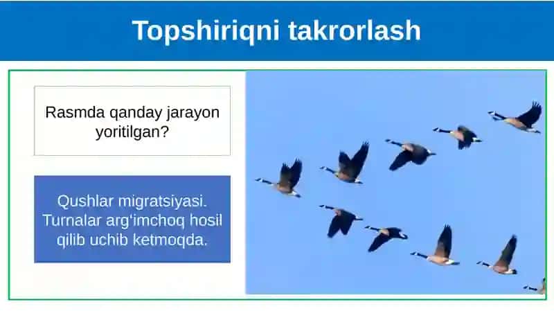 Biologiya DARS REJASI 4