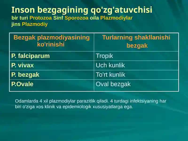 Bezgak kasalligi qozg'atuvchisi,epidemiologiyasi,patogenizi,klinikasi,davolash va oldini olish 4