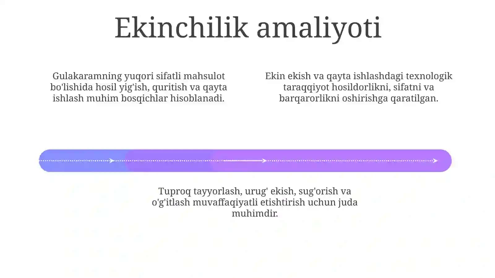 Yaxshilangan Gulakaram Ishlab Chiqarish Uchun Texnologik Yo'l Xaritasi 4