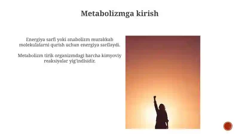 Metabolizm jarayonida energiya hosil bolishi va sarflanishi 4