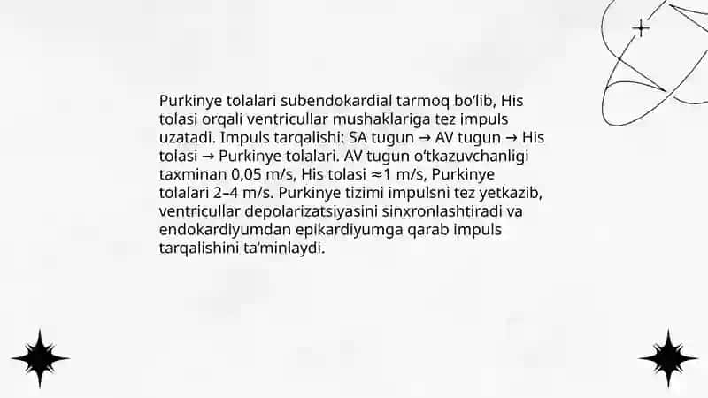 Yurak faoliyatini boshqarilishi 4