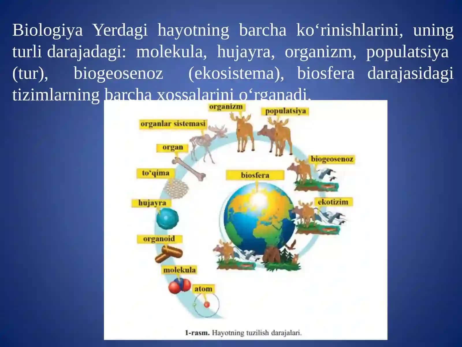 Biologiya fanining vazifasi, o‘rganadigan sohalari va uslublari 4