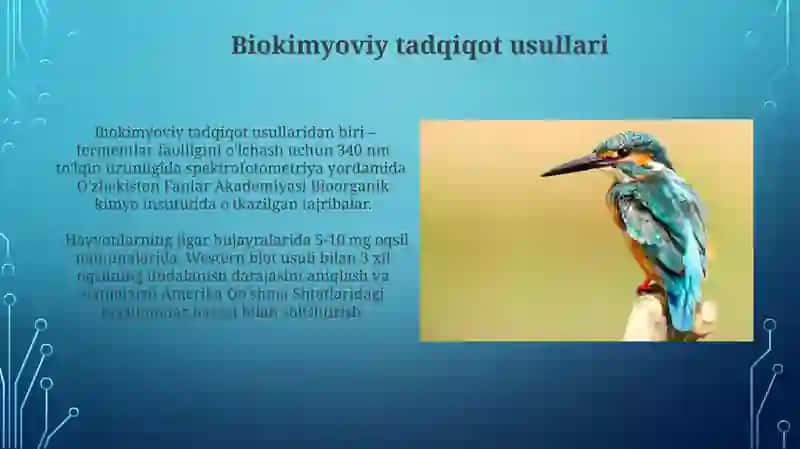 Inson va Hayvon Fiziologiyasi 4