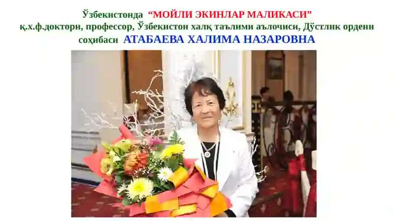 СОЯ АҲАМИЯТИ, БИОЛОГИЯСИВА ЕТИШТИРИШТЕХНОЛОГИЯСИ 4