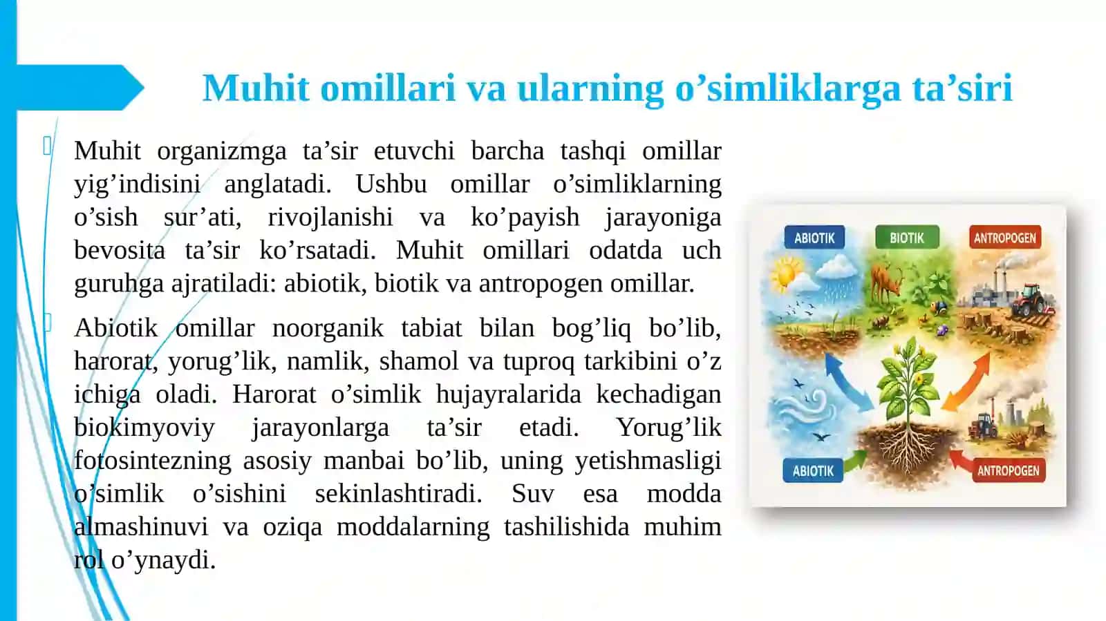 O’simliklarning Yashash Muhiti va Uning Umumiy Tavsifi 4