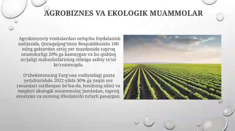 Agrobiznesvaqishloqxo’jaligimunosabatlari 4