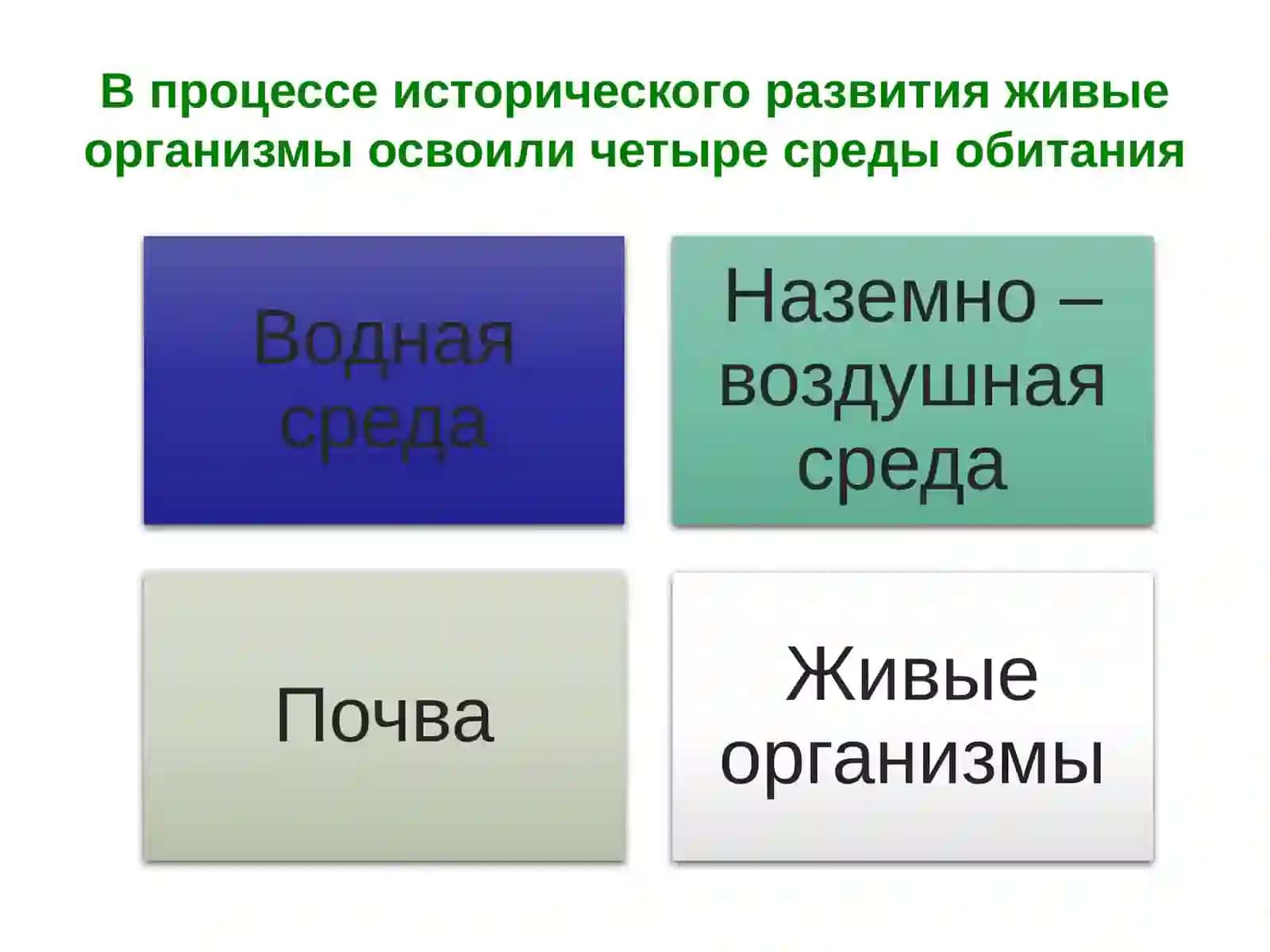 Основные среды жизни 4