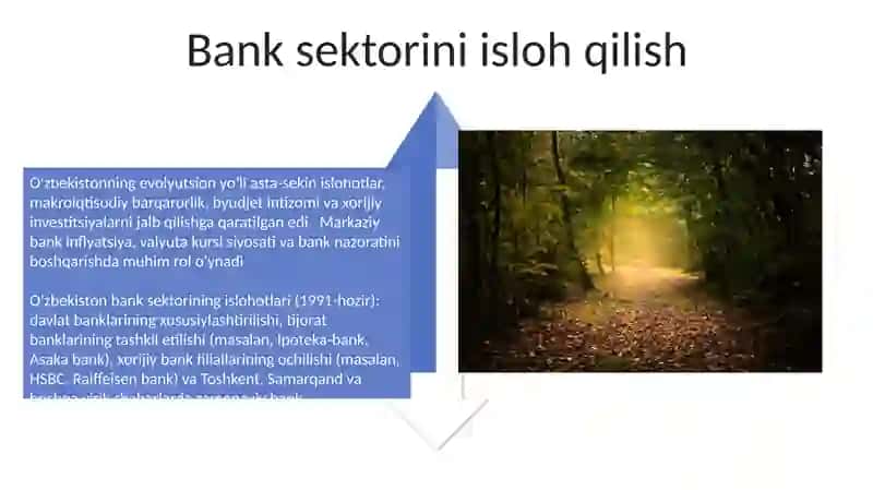 Qiyinchiliklar va Evolyutsion Yo'l 4