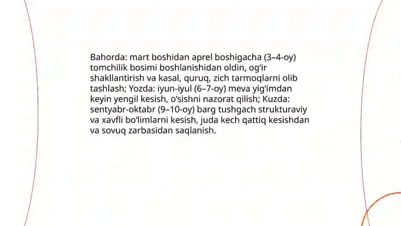 Olmani kesish va butash texnalogiyasi 4