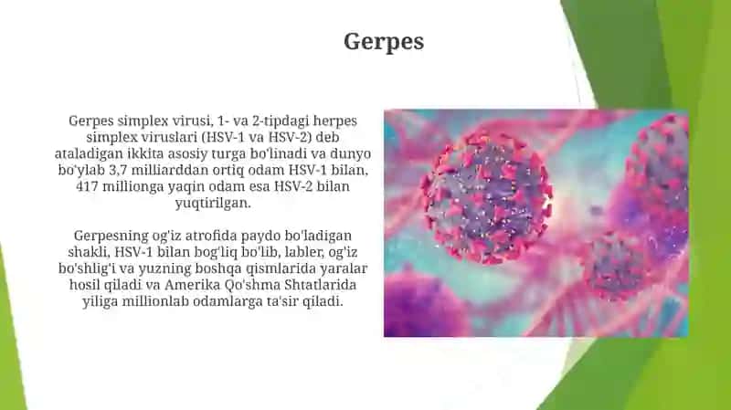 Viruslar 4