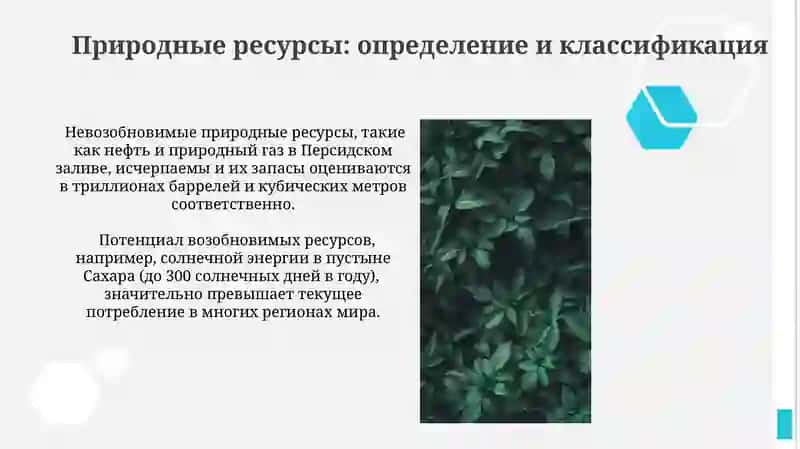 Природные ресурсы и их рациональное использование 4