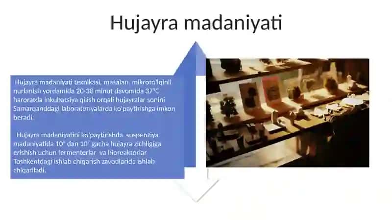 Biotexnologik obyektlarni kópaytirish usullari 4
