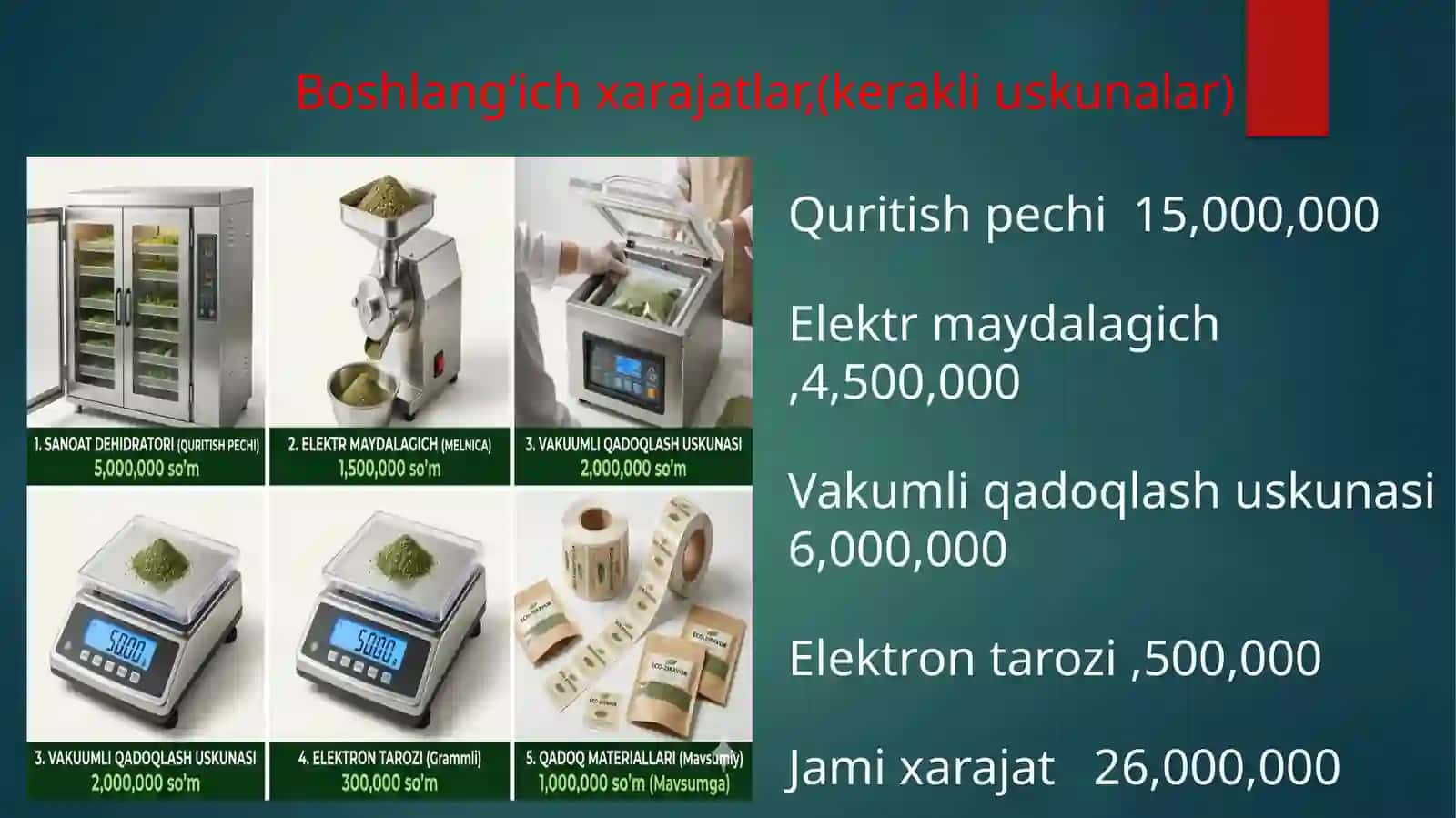 (100 millionlik loyiha ishi)  EKO-ZIRAVOR 4