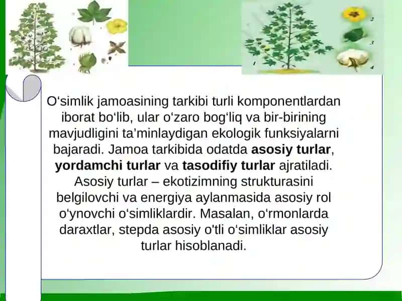 O ‘simlik jamoasi (fitotsenoz). Oʻsimliklar qoplami klassifikatsiyasi  va oʻsimlik zoʻnalari 4
