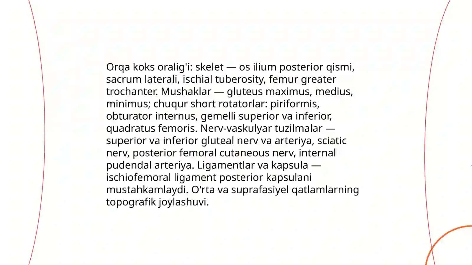Oldingi va orqa koks oralig'i a'zolari topografik anatomiyasi va operativ jarrohligi 4