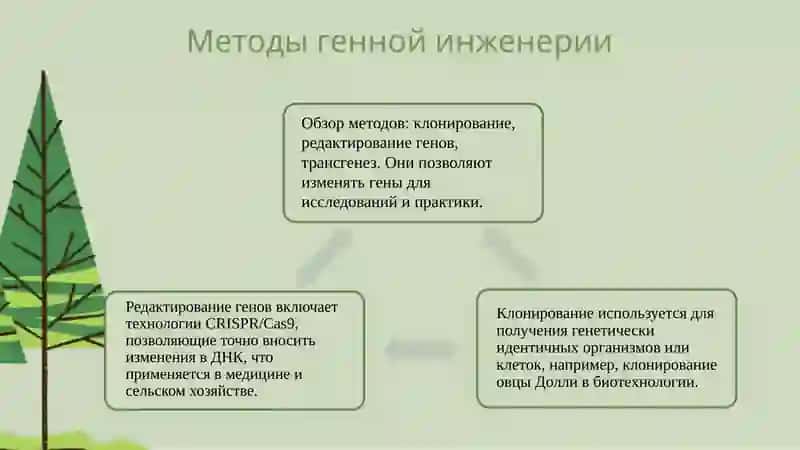 Генная инженерия. Изменчивость и её формы 4
