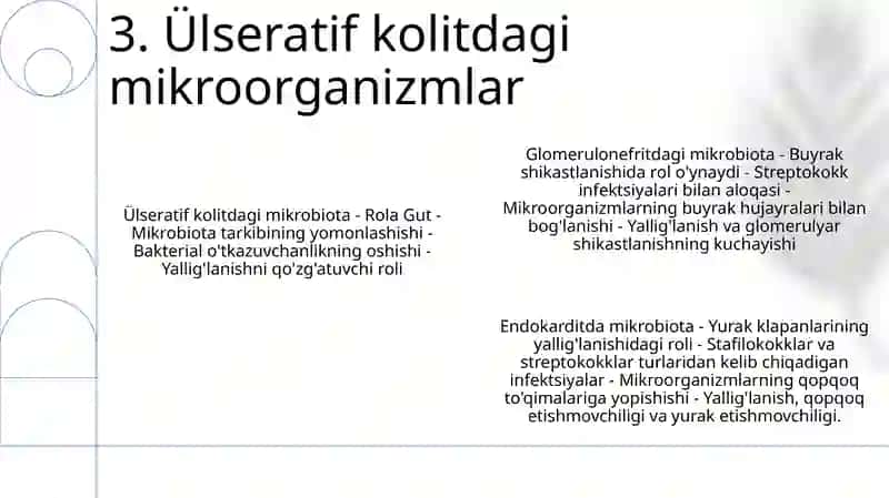 Glomerulonefrit, Endokardit, Yarali Kolitda Mikroorganizmlarning Ahamiyati 4