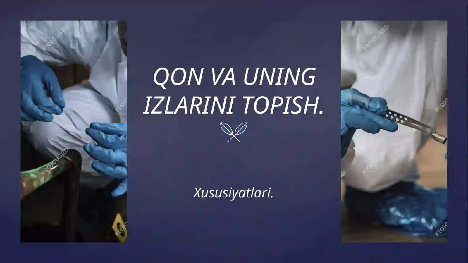 QON VA QON DOG’LARINING SUD TIBBIY EKSPERTIZASI 4