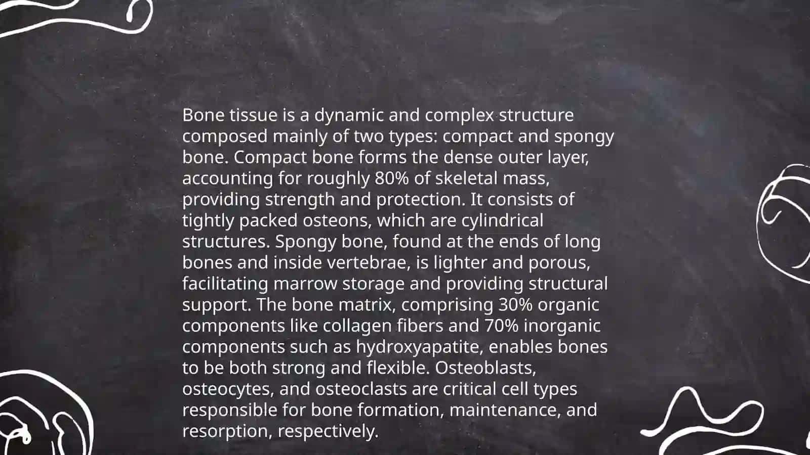 Skeletal System 4