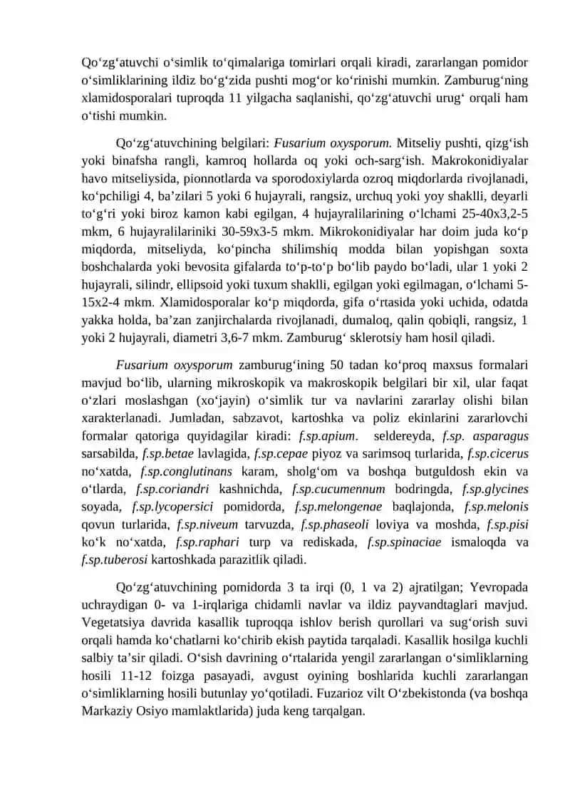 Pomidor kasalliklari va ularga qarshi kurash choralari 4