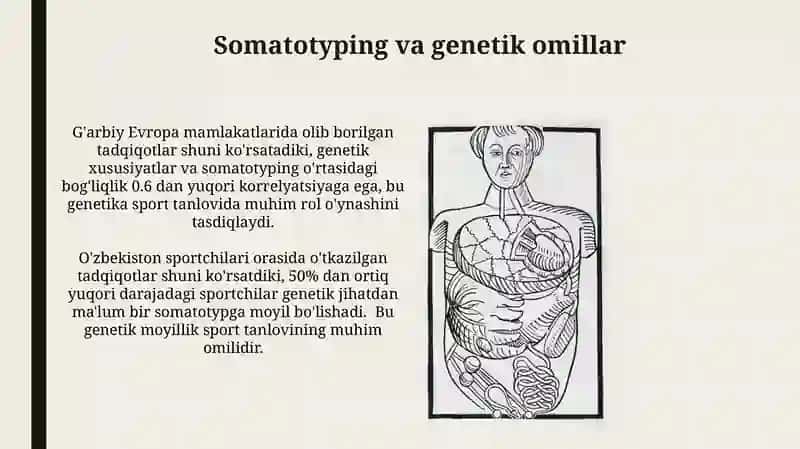 Somatotip turlari erta sport saralashida tana tuzilishining ahamiyati 4