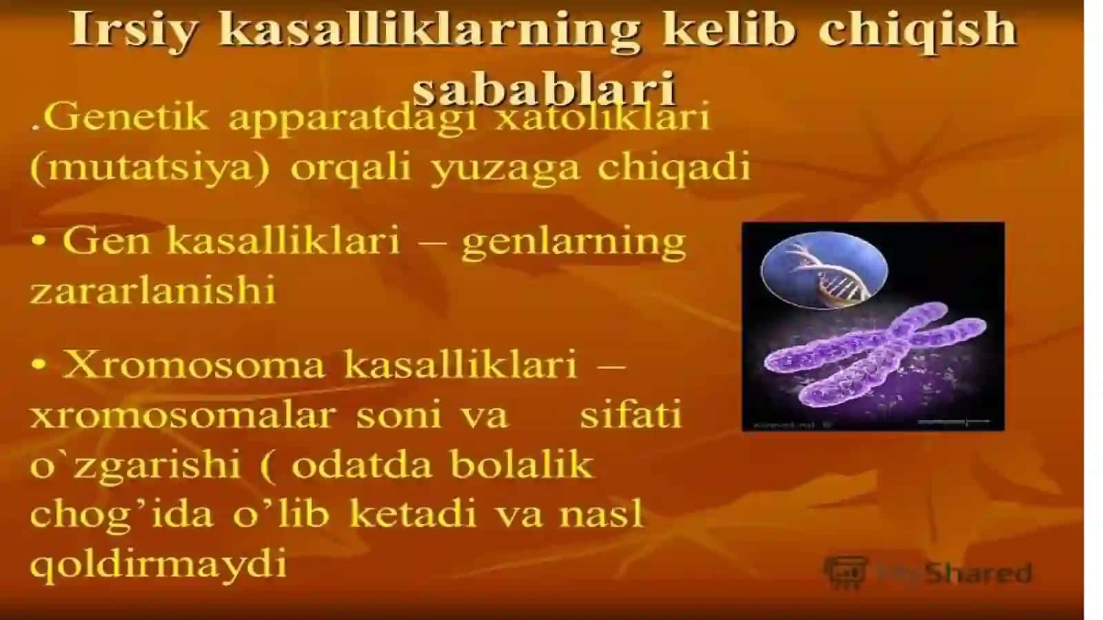 Irsiy kasalliklar haqida malumotlar 4
