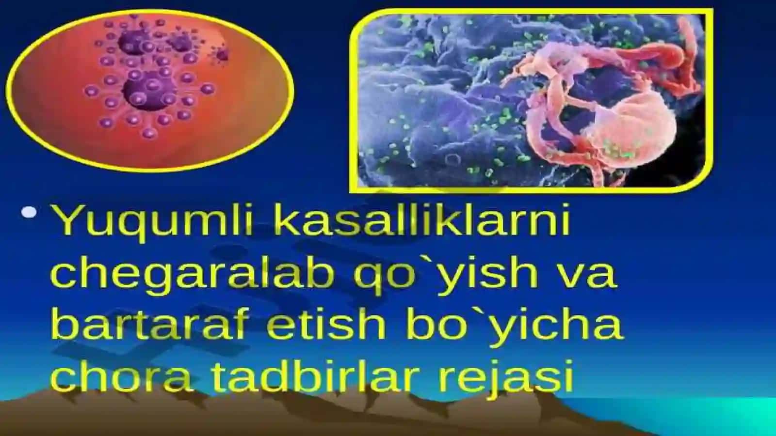 Yuqumli kasalliklar bilan kasallangan bemorlarning psixo-emotsional xususiyatlari 4