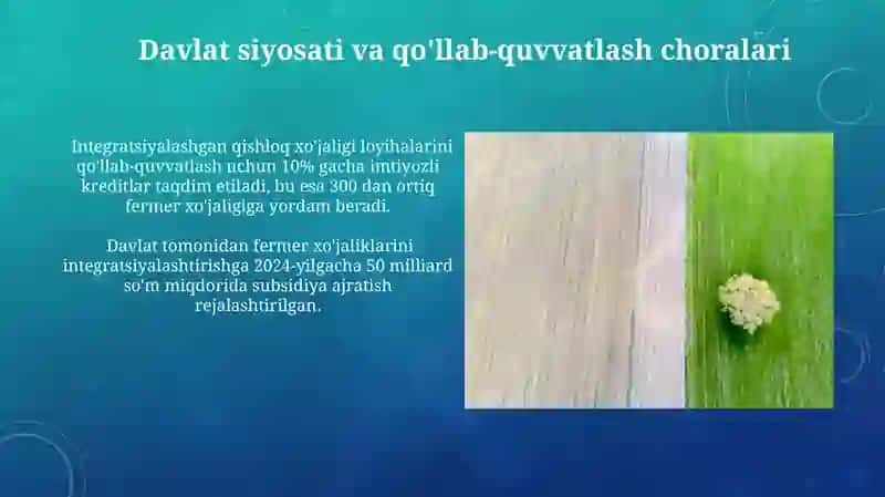 Integratsiyalashgan dehqonchilikda samaradorlikni oshirish 4