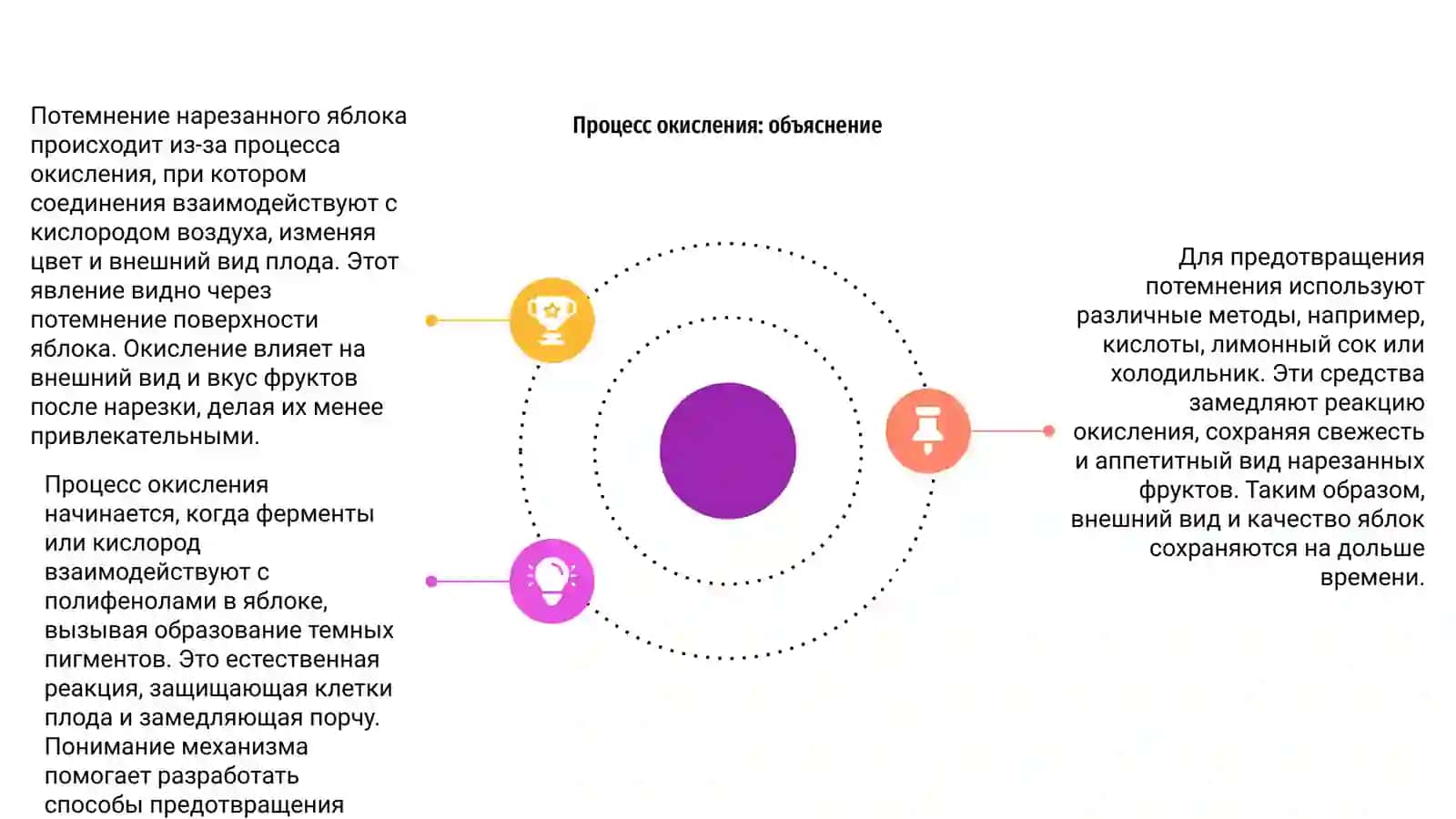 Потемнение нарезанного яблока на воздухе (Процесс окисления) 4