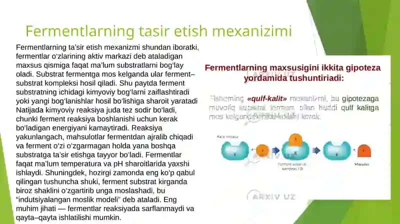 Fermentlar 4