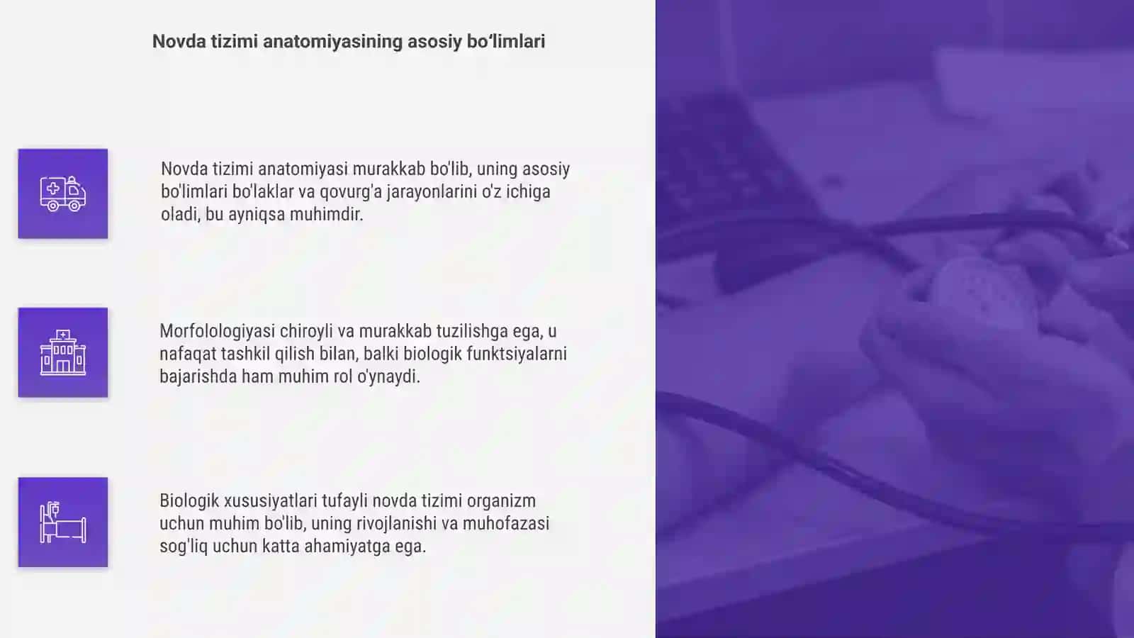 Novda tizimi anatomiyasi morfologiyasi va biologik xususiyatlari 4
