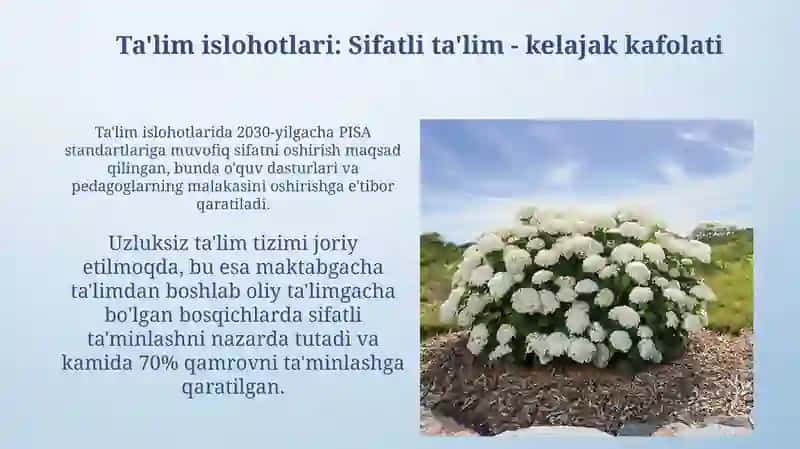 Barkamol avlod-Yangi O'zbekiston taraqqiyotining poydevori 4