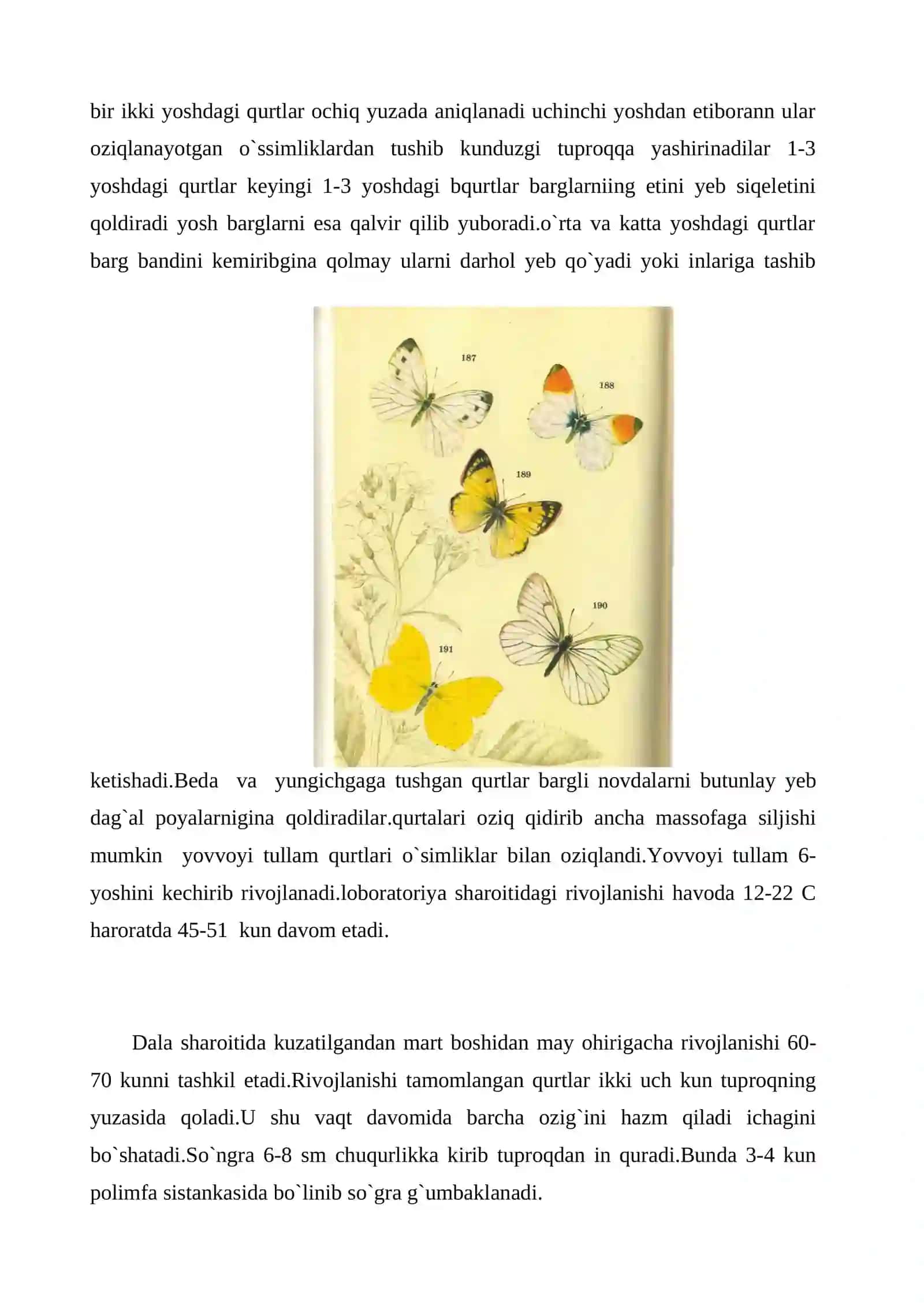 Tangacha va parda qanotlilar turkumi vakillari 4
