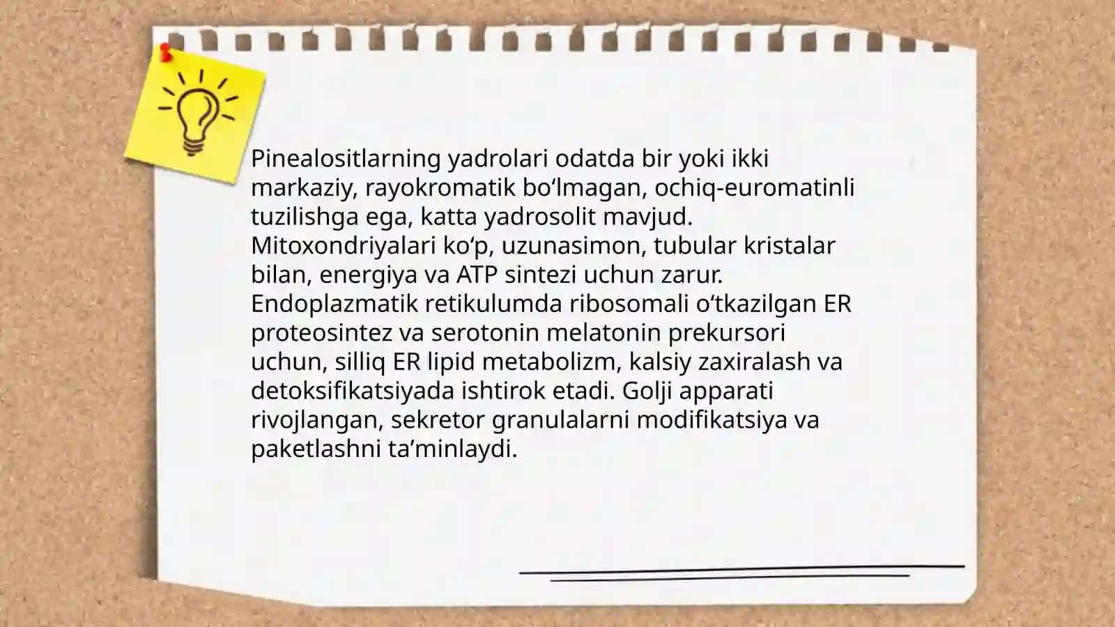 Epifizning ulturastrukturaviy tashkil etilishi va funftsiyalari 4