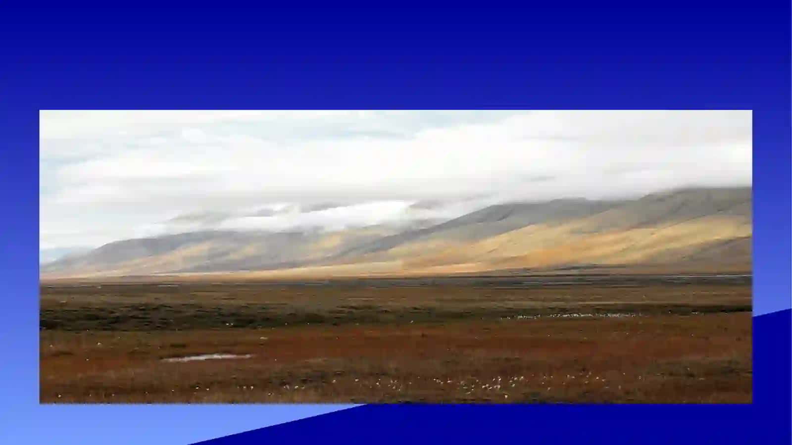 Tundra tabiat zonasi tuproqlari1 4