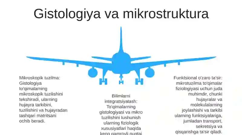 O'simliklar fiziologiyasi 4