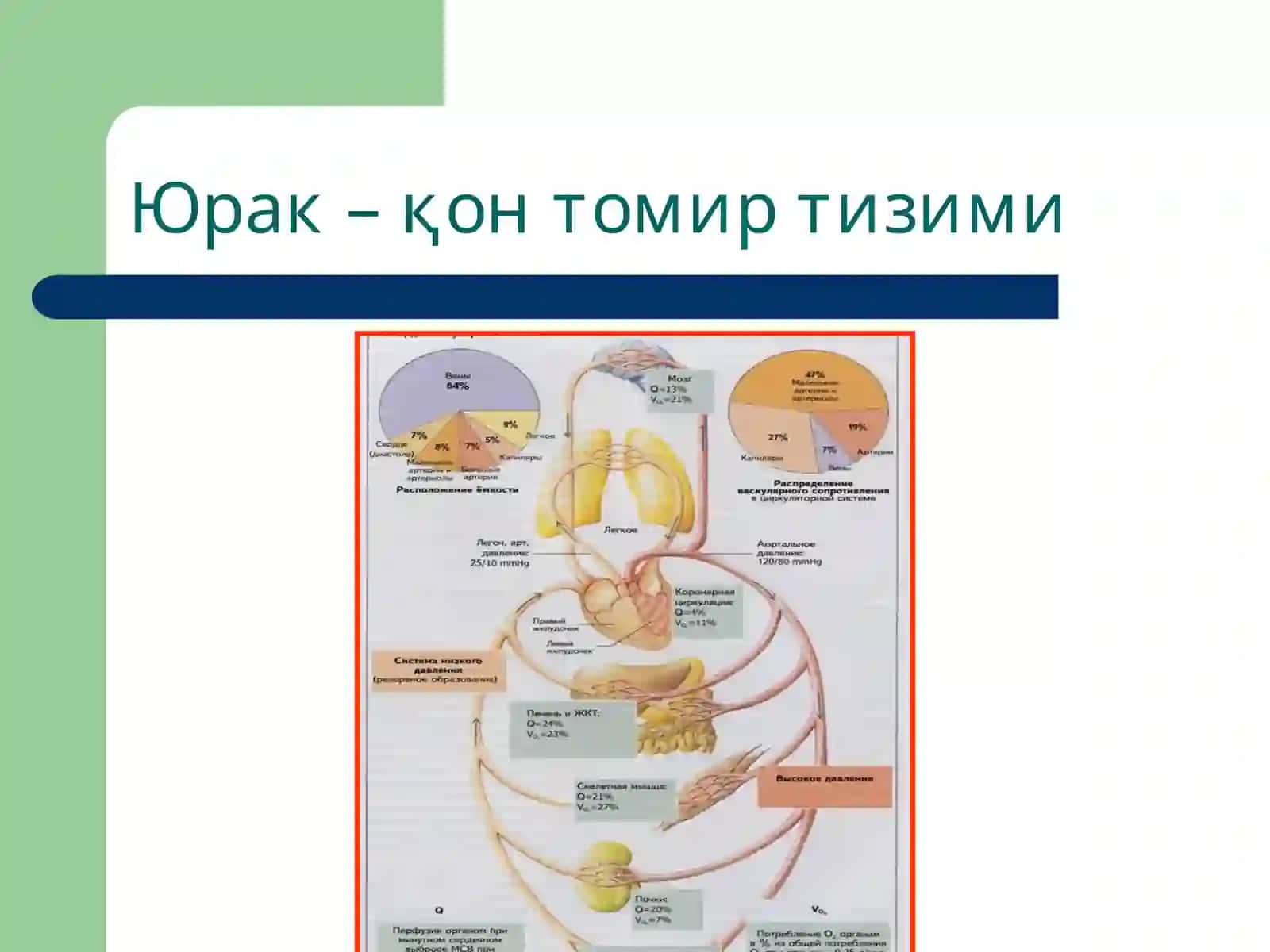 Юрак иши етишмовчилиги 4
