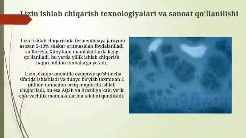 Lizin sentiz qiluvchi mikroorganizmlarni urganish 4
