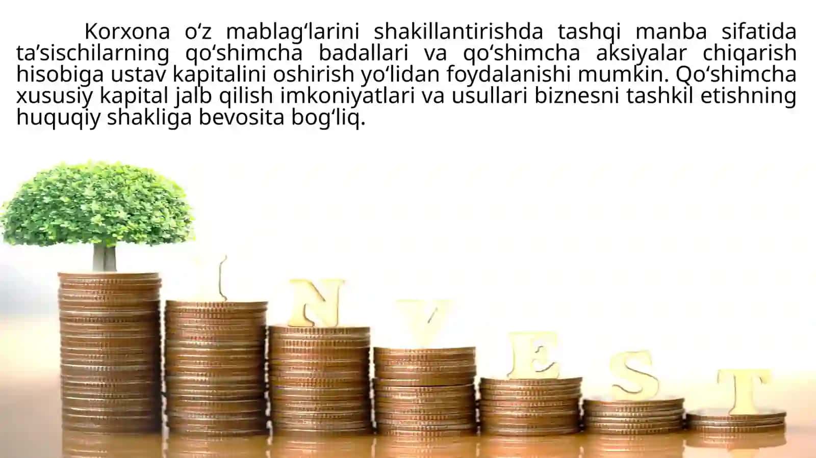 KORXONALARNIOʻZMANBALARI VA QARZ MABLAG’LARI HISOBIGA MOLIYALASHTIRISH 4