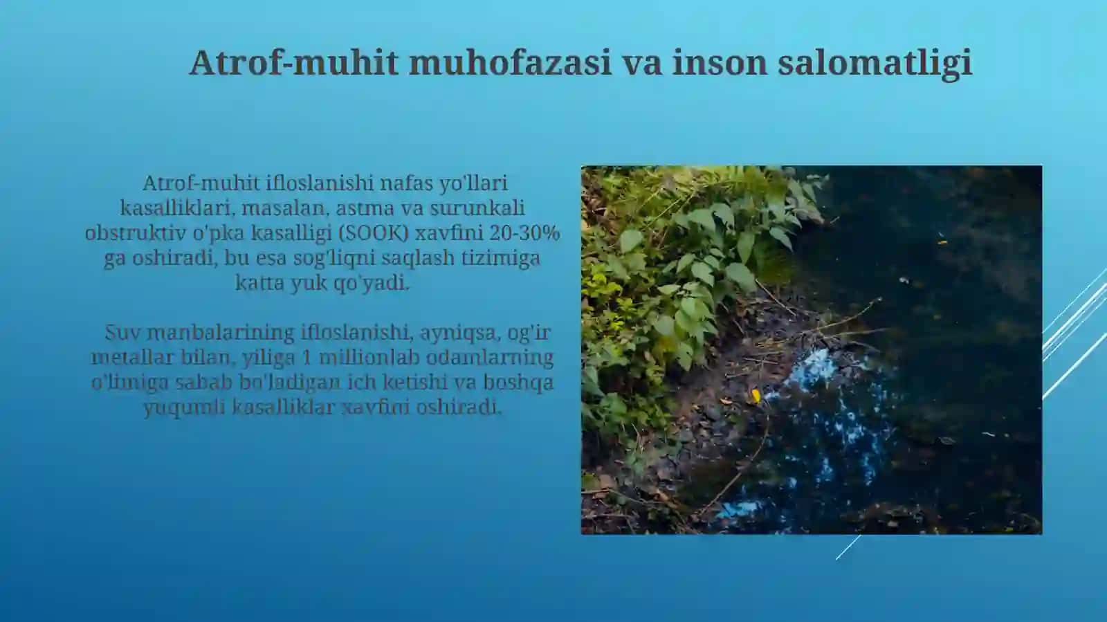Atrof muhit va odam organizmining bogʻliqligi 4