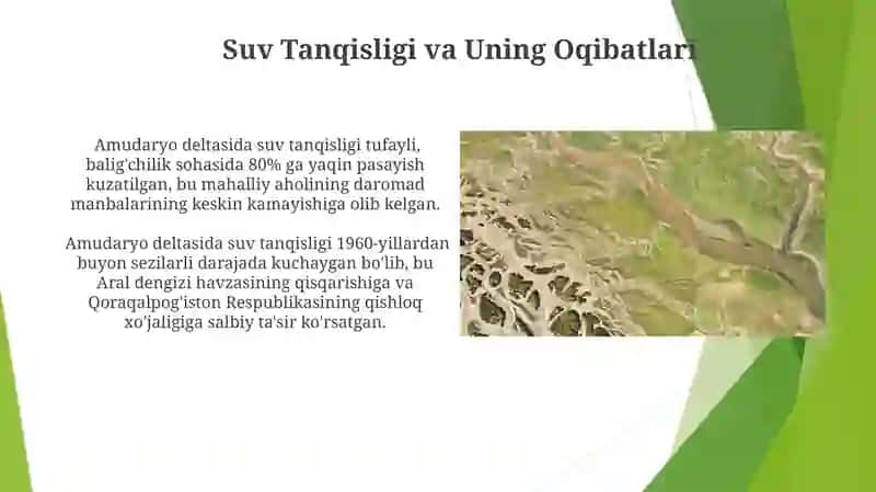 Amudaryo Deltasi: Muammolar va Yechimlar 4