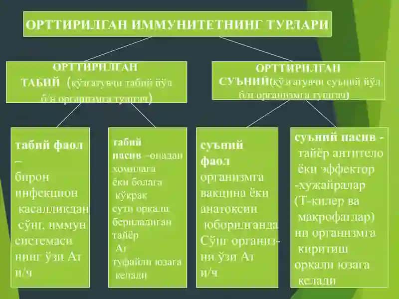 Иммунитет ва уларнинг турлари 4