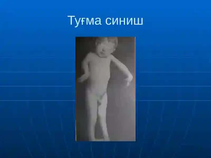 Синиш Ва Чиқишлар 4