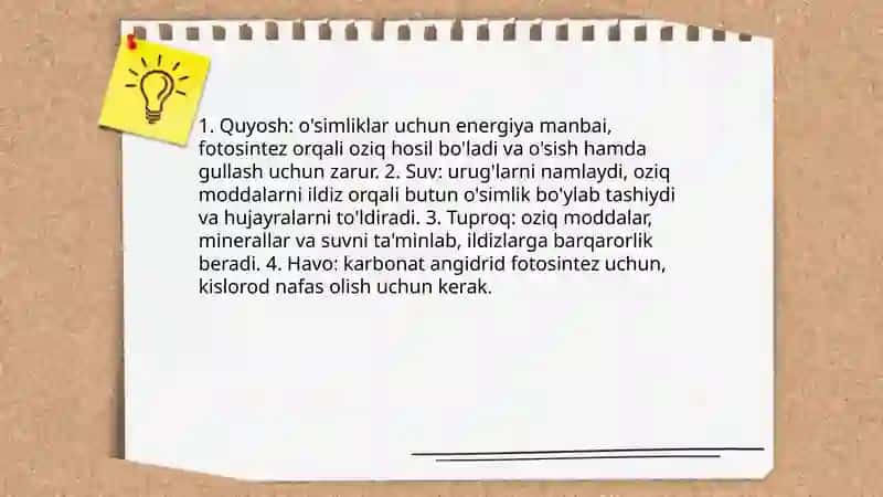 2sinf tabiy fanidan oʻsimlar mavzusida ochiq dars taqdimoti 4