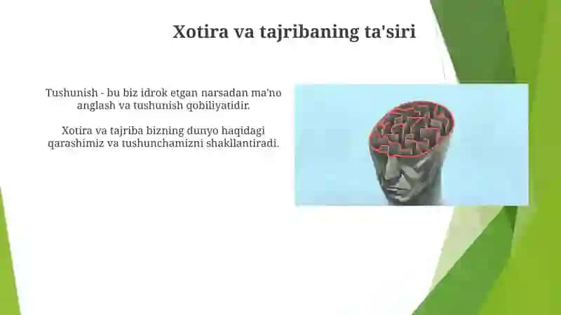Sezgi va idrok 4