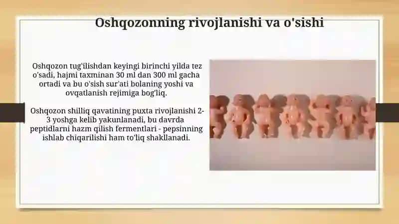 Bolalarda me'da, ichaklarni anatomo-fiziologik xususiyati 4