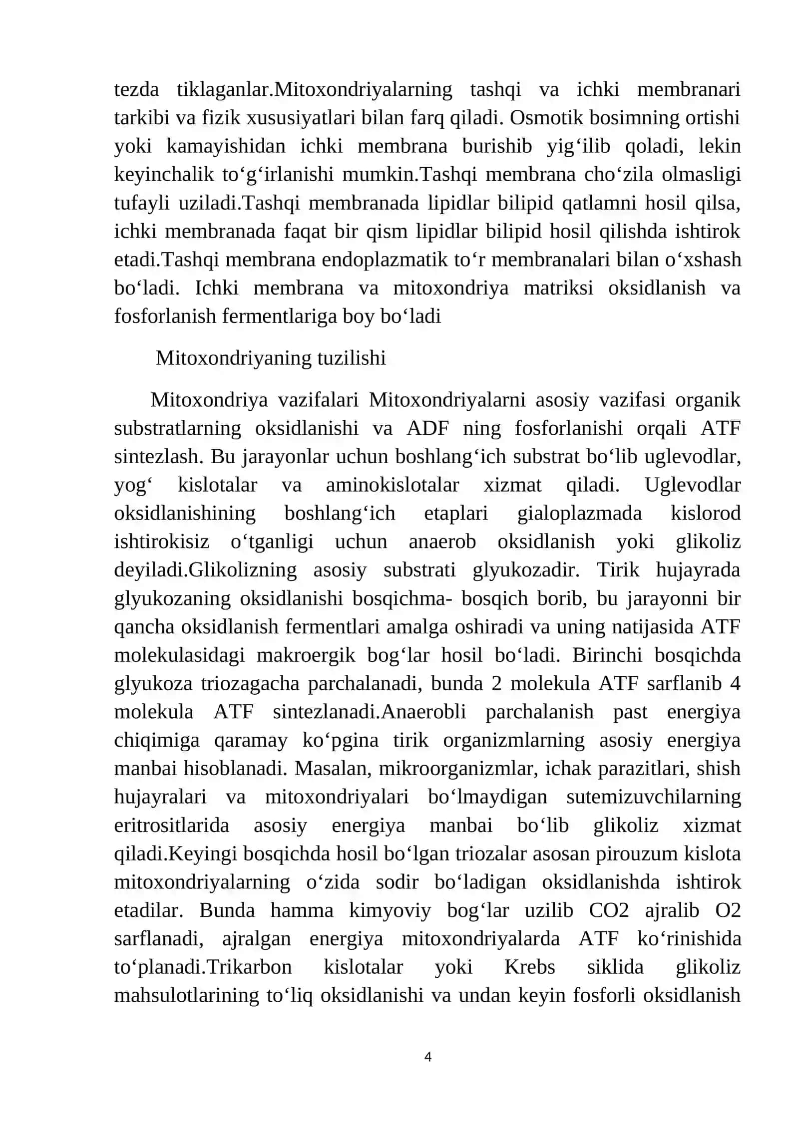Mitoxondriya 4