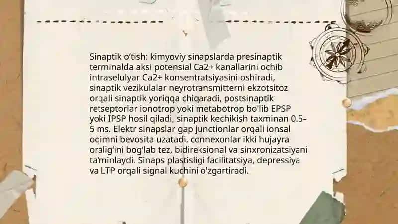 Markaziy asab sistemasi umumiy fiziologiyasi 4