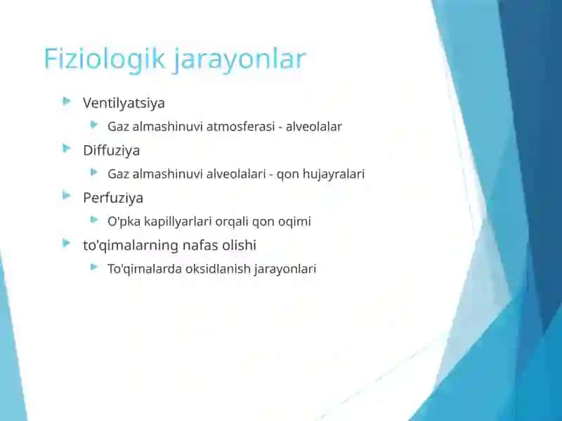 Nafas olish funktsiyasini o'rganishning patofiziologik asoslari 4