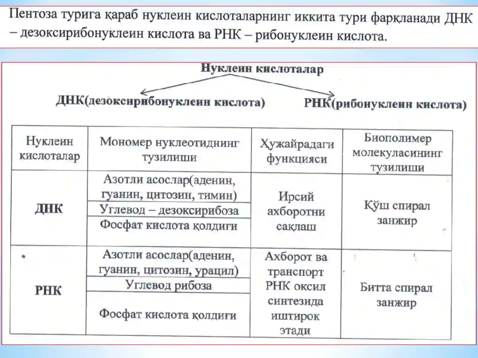 Тирикликнинг молекуляр асослари. Хужайра тирикликнинг элементар генетик ва функционал бирлиги. Хужайрада модда, энергия ва ахборот оқими. Хужайра пролиферацияси 4